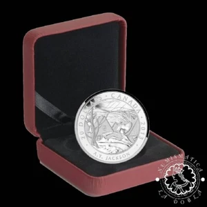 LADOBLA | 2013 - Estuche 20 Dollars CAD Proof - Saint Tite des Caps - Canada - Foto 1 di 3