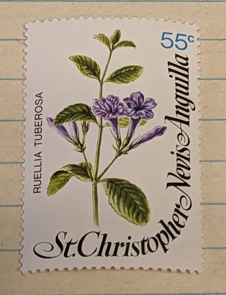 Stamp St. Kitts-Nevis Anguilla  #382  MNH - 1979 55c Ruellia Tuberosa Flower - Image 1 of 1