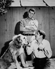 Andy Griffith Show George Lindsey with dog as Andy looks on 24x36 Poster