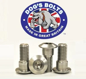 Suzuki DL650 K7-L4 V-Strom 07-14 Stainless Steel Rear Brake Disc Bolt Kit - Picture 1 of 1