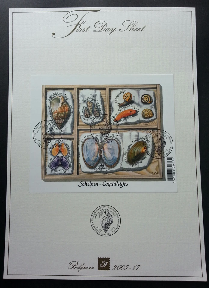 [SJ] Belgium Seashell 2005 Sea Shell Marine Life Ocean (stamp FDC) *card - Image 1 of 4