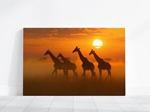 Giraffe Photo, Wildlife Photography, Animal Photo Print, Family of Giraffes Art