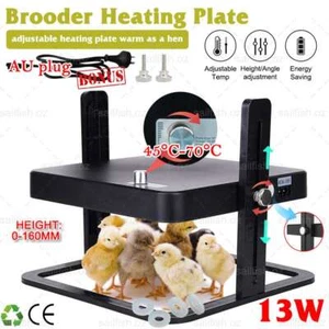 13W Chick Brooder Heating Plate 27x27cm Chicken Coop Heater Duck Poultry Brooder - Picture 1 of 12