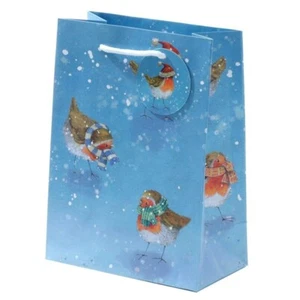 JAN PASHLEY CHRISTMAS ROBINS GIFT BAG WITH GIFT TAG - Picture 1 of 1