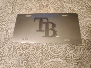 Tampa Bay Devil Rays Baseball MLB Metal Novelty License Plate Silver 6x12 Inches - Picture 1 of 1