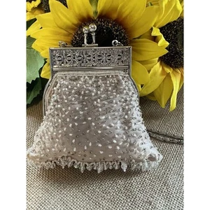Vintage Beaded Evening Bag Purse with Seed Pearls/Sequins and Chain Strap - Picture 1 of 10