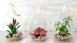 3 Faux Succulent Hanging Tear Drop Glass Orb Ornament Home Decor Terrarium Plant - Picture 1 of 23