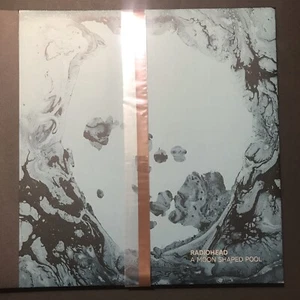 Radiohead A Moon Shaped Pool Special Deluxe Edition 2 LP, 2 CD Collector’s Item - Picture 1 of 8