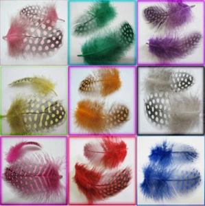 Speckled Guinea Fowl Feathers Chicken Fly Craft Hat Arts Decorations Wedding UK - Picture 1 of 15