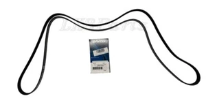 Land Rover Range Sport LR4 Primary Drive Serpentine Belt 5.0L LR064185 Dayco Nuevo - Imagen 1 de 4