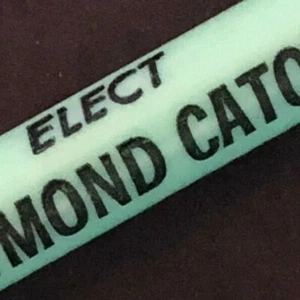 c1970's "Elect Raymond Caton McLean County Superintendent" Advertising Pen GC - Picture 1 of 7