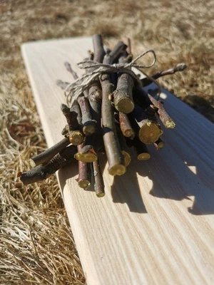 苹果木棒,宠物有机咀嚼棒 — 第 1/4 张图片