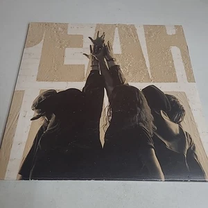 Pearl Jam Ten Deluxe Edition 2009 2-LP Redux Epic Records Vinyl Grunge Tested - Imagen 1 de 13