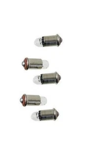 5 Glühlampe Zwerglampe Minilampe klar MS4 14V 50mA 0,7W Glühbirne - Bild 1 von 1