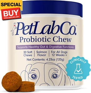 Probiotics for Dogs, Support Gut Health, Occasional Diarrhea, Digestive Health & - Picture 1 of 9