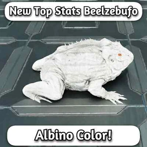 ARK Survival Ascended TOP STATS Albino Beelzebufo | Frosch - PC/XBOX/PS5 PvE ASA - Bild 1 von 6