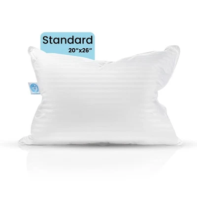 Balanced Dream 50/50 Goose Feather Down Standard Pillow 20x26 Inch Medium Sup... - Image 1 of 4