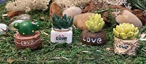 Dollhouse FAIRY GARDEN Accessories Terrarium Succulent Plant Cactus YOU PICK - Picture 1 of 13