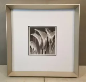 Estampado artístico: lirios de cala mostrados en rayos X, marco de aluminio cepillado plato profundo Nielsen - Imagen 1 de 10