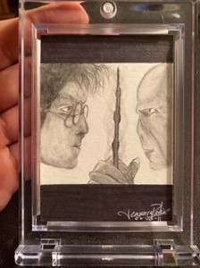 HARRY POTTER LORD VOLDEMORT DANIEL RADCLIFFE RALPH FIENNES SKETCH CARD 1/1 !