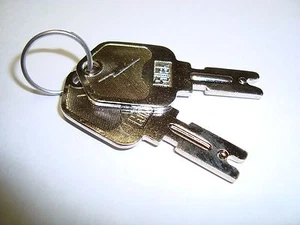Cat® Gehl Pollak Equipment Starter Switch Key 073694 6T2663 (OEM - New) Qty. 2   - Picture 1 of 2
