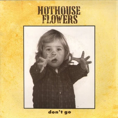Hothouse Flowers Don’t Go 7" Vinyl Australien London 1988 7" In Bildhülle - Bild 1 von 2