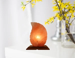 BR - Natural Crystal Himalayan Pink Salt Table Lamp - Air Purifier Night Light - Picture 1 of 3