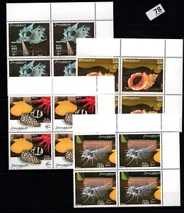 SO 4X SOMALIA - MNH - CONCHIGLIE - NATURA - 2003 - Foto 1 di 1