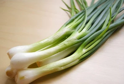 1,000 Heirloom Evergreen White Nebuka Bunching Onion Scallion Seeds Organic - Image 1 of 4