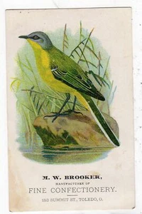 TOLEDO OHIO*M W BROOKER*FINE CONFECTIONERY*183 SUMMIT ST*VICTORIAN TRADE CARD #2 - Picture 1 of 2