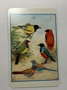 RAR Vintage Afrikanische Vögel Spielkarten komplett - Bild 1 von 12