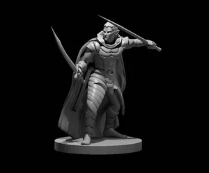 Elf Male Two Sword Ranger 3 para D&D Dungeons and Dragons Pathfinder DND Mini - Imagen 1 de 1