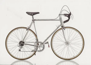 Postcard Rigi Bici Corta - Bicycle c1979 Italy MINT Unused  - Picture 1 of 1