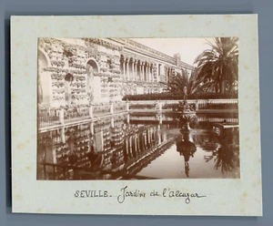 Spain, Seville, Jardins de l'Alcazar Vintage Print. Citrate Print - Picture 1 of 1