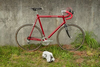 Cannondale SR500, 63 cm, 1985 Foto 1 de 4