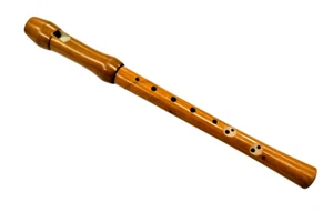 Flauto Dolce Scuola Soprano in Do Diteggiatura Tedesca Legno Scuola Smontabile - Zdjęcie 1 z 9