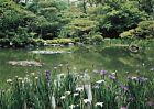 The Garden At Heian Shrine Japan Japanese Postcard Vtg #26