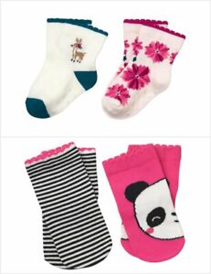 NWT Gymboree Baby Buddies Panda Mulberry & Pine Fawn Deer Girls Socks Lot 0-6 M