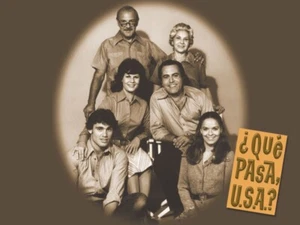 SERIE MIAMI-USA, QUE PASA USA?, 5 DVD, 39 CAPITULOS, 1980, EXELLENTE - Picture 1 of 2