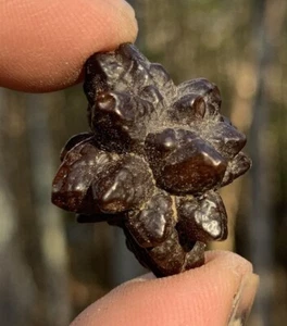 PIEDRA DE PROFECÍA PIEDRA Z GRAN CONEXIÓN A TIERRA FUTURA GUÍA MINERAL SAHARA EGIPTO - Imagen 1 de 8