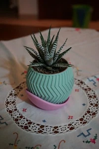 Vaso e sottovaso Stampato in 3D - Foto 1 di 3