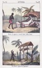 Tahiti Society Islands French Polynesia Australia funeral Lithographie 1840