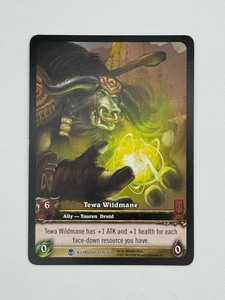 Juego de cartas coleccionables World of Warcraft Azeroth 261/361 arte extendido Tewa Wildmane - Imagen 1 de 1
