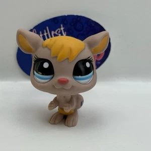 Kangaroo #1255 - Auténtico Littlest Pet Shop - Hasbro LPS - Imagen 1 de 4