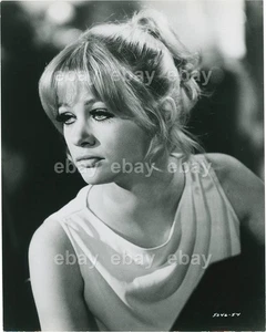DREI IN ZWEI WERDEN NICHT GEHEN JUDY GEESON SELTENES 10 X 8 ZOLL FOTO - Bild 1 von 1