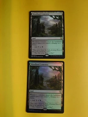 Woodland Cemetery x2  Dominaria  1 is foil  Magic the Gathering 2 Card. are land - Image 1 of 3