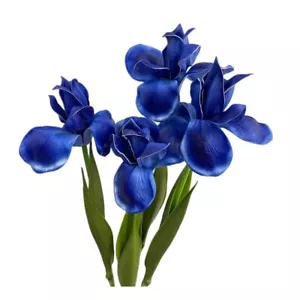4pz Fiore di Iris Artificiale Fiore di Seta,Bouquet di Fiori,Stelo Lungo 18" Irel Finto... - Foto 1 di 7