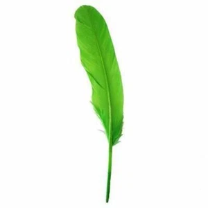 Goose Pointer Feathers 10 grams - Lime Green - Picture 1 of 1