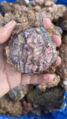 Jaspe de montaña fría de alta calidad áspero Zacatecas México 5 lb Foto 1 de 4