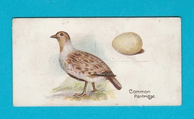 BIRDS & EGGS - LAMBERT & BUTLER - CARD NO. 32 - 1906 - Image 1 of 2